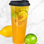 Best Citrus Limeade 柑橘青柠茶 in Durham, NC